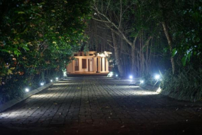 Bird Paradise Villa